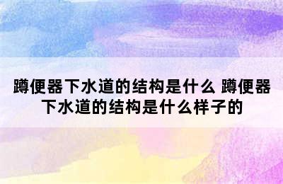 蹲便器下水道的结构是什么 蹲便器下水道的结构是什么样子的